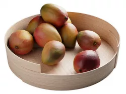 Stack Tray by Fritz Hansen with Mango 3D model