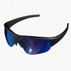Sunglasses 3D model