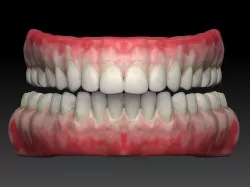 tooth 3D model