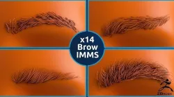 14 Zbrush Eyebrow IMMS 3D model