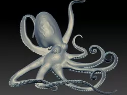 3D OCTOPUS  3D model