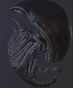 Alien Embryo Marmoset  3D model