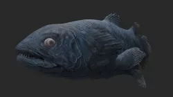 Animal - Dinosaur 11 3D model