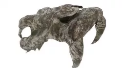Animal Skull 3D model