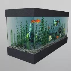 Aquarium 3D model