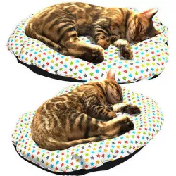 Bengal Kitten 3D model