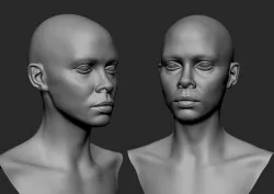 Black Female Head Anatomy- Basemesh 3D model