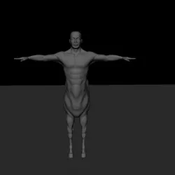 centaur 3d  model 3D model