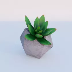 Concrete potted succulent 3D model