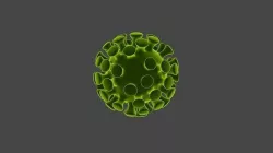 Covid 19 virus 3D model