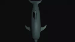 Dolphin 3D model