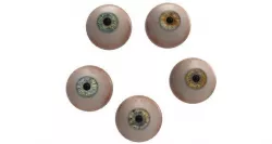 eye ball v4 3D model