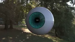 eyeball 3D model