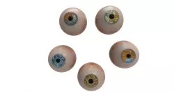 eyeball v1 3D model