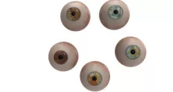 eyeball v2 3D model