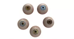 eyeball v3 3D model