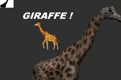 Giraffe 3D model