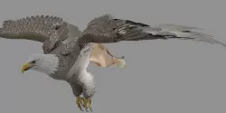 Griffin 3D model
