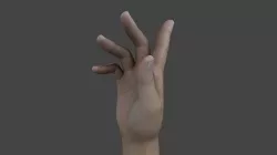 HAND-027 Right Hand 3D model