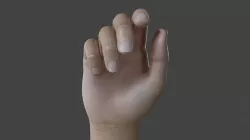 HAND-029 Right Hand 3D model
