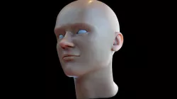 Human Head 3D model