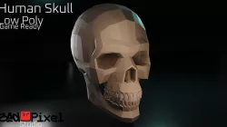 Human Skull Low-poly 3D model