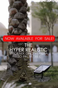 Hyper-realistic Palm Tree 3D model