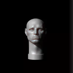 Male Head - John Asaro 3D model