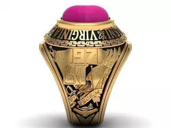 Ring class Polytechnic Viginia 3D model