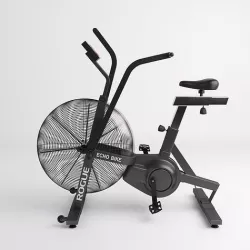 Rogue Echo Bike 3D model