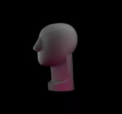 Round Head - John Asaro 3D model