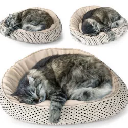 Sleeping Cat 3D model