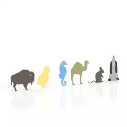 Animals 2 3D model