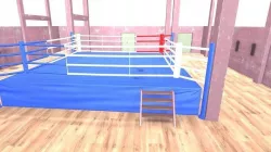 Boxing ring 3D model
