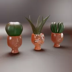 cactus in painted flower pots Low-poly 3D model