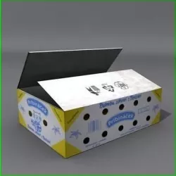 Cardboard 3D model