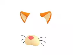 Cat Face 3D model