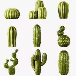 Ceramic cactus set 3D model