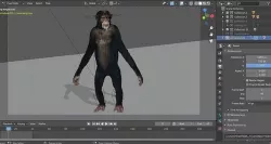 chimp rigged and animated  3D model