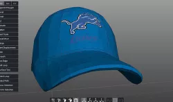 Detroit Lions Cap 3D model