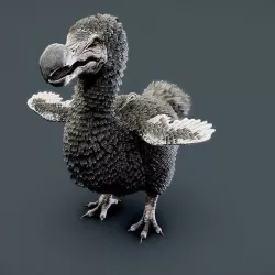 Dodo bird 3D model