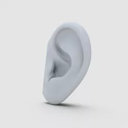 Ear Model 3D model