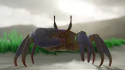 Ghost crab 3D model