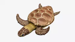 Green Sea Turtle Low-poly 3D model