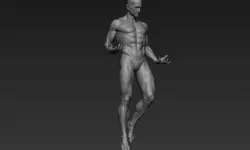 Male Full Body Sculpt Pose 1 3D model