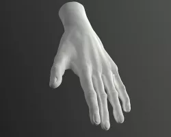 Male Hand High-Poly model 3D model