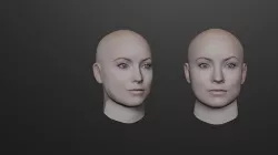  olivia wilde head 3d model Low-poly 3D model