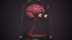 PBR Brain Creature Low-poly 3D model