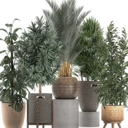 Plants in baskets for the interior 632 3D model