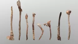 Primitive Axe -Bone and stone  Collection Low-poly 3D model